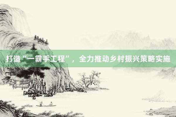 打造“一霸手工程”，全力推动乡村振兴策略实施